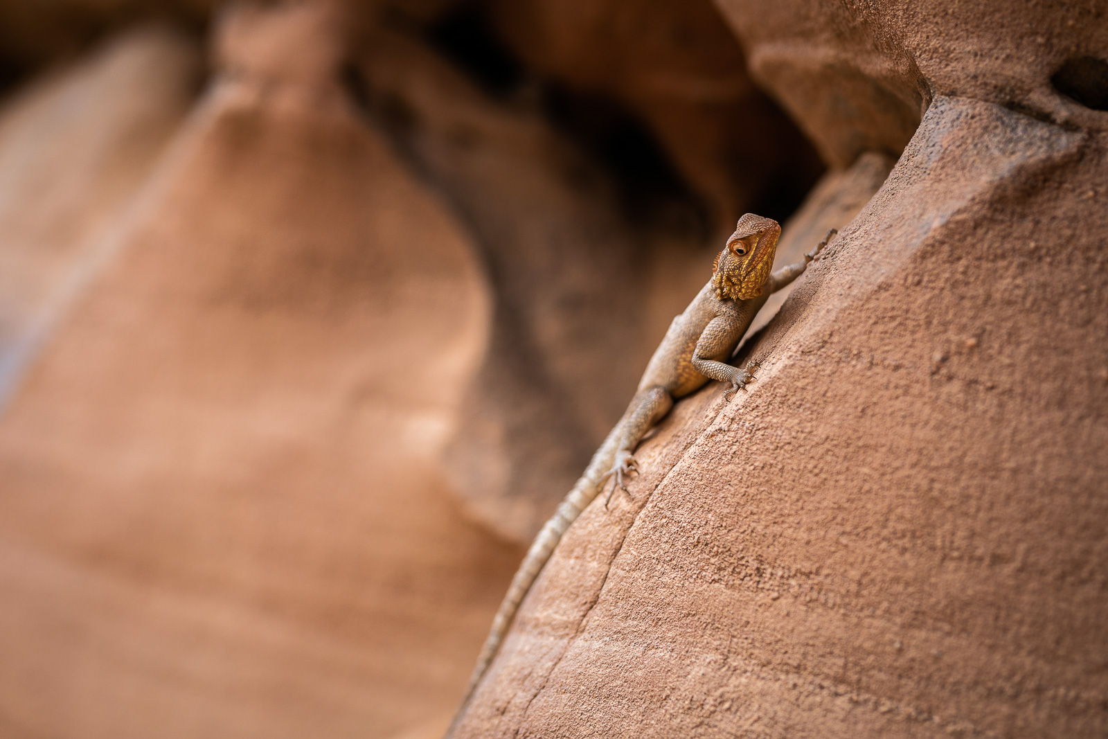 Human & Nature  outoftime 53